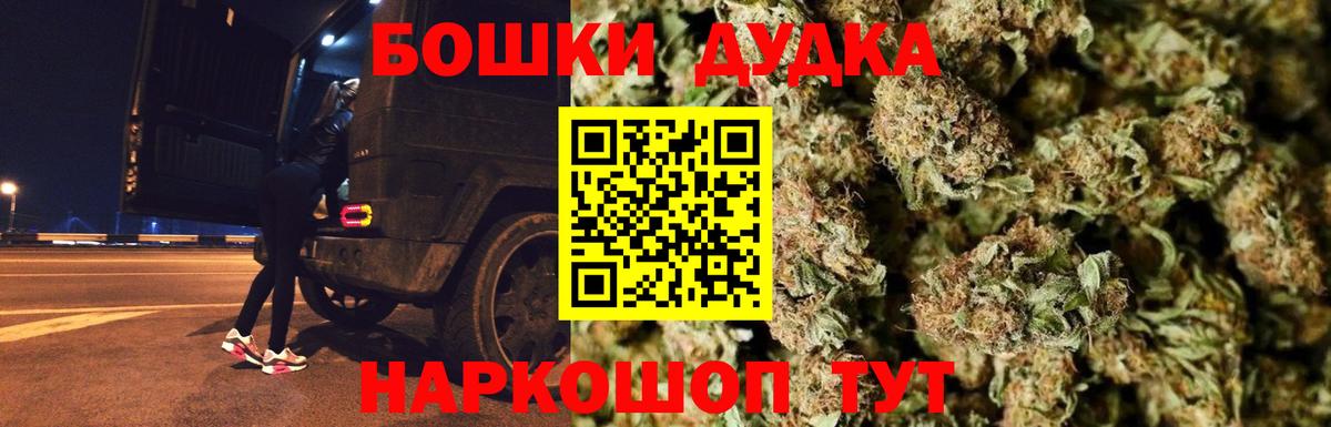 Канабис сатива Будённовск